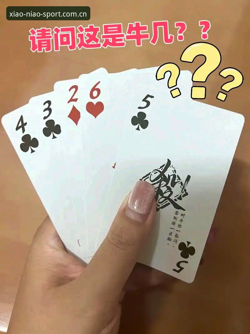 小鸟体育APP教程对比：如何快速上手不同版本的核心功能？