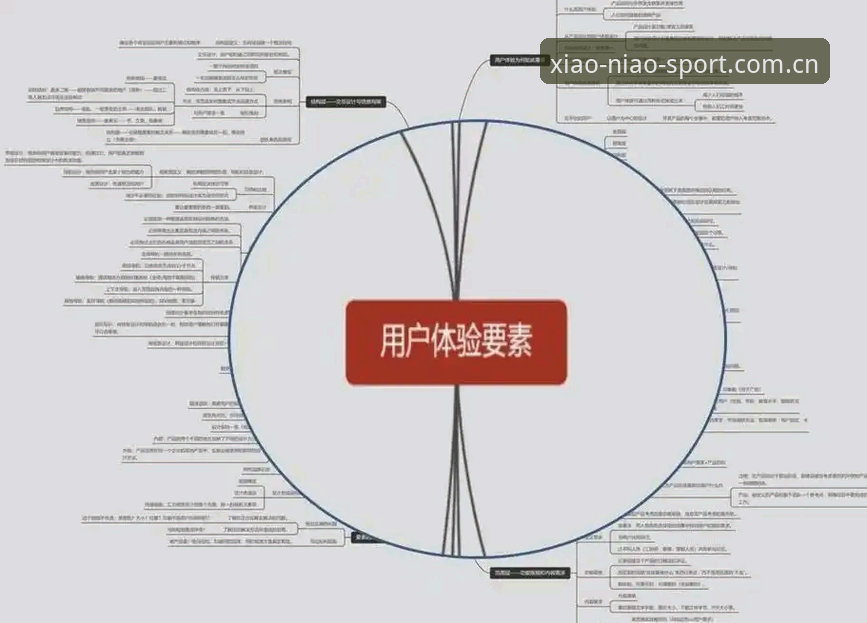 小鸟体育平台深度解析：注册下载流程与用户体验全面考量